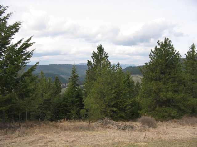 1444 B Jacobson-Peterson Swamp Road Colville, WA 99114 - Photo 8 of 9 Gallery Image 8