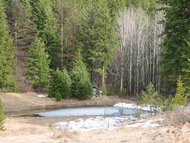 1444 B Jacobson-Peterson Swamp Road Colville, WA 99114 - Photo 9 of 9 Gallery Image 9