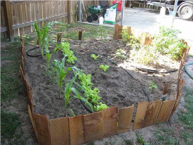 6357 Shady Lane Milton, FL 32570 - Photo 8 of 21 A great area for you gardeners