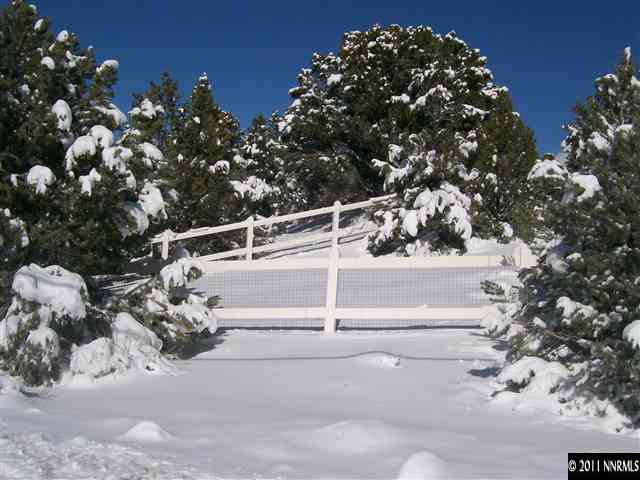 1725 Empire Road Reno, NV 89521 - Photo 4 of 9 a view of a house with a tree park