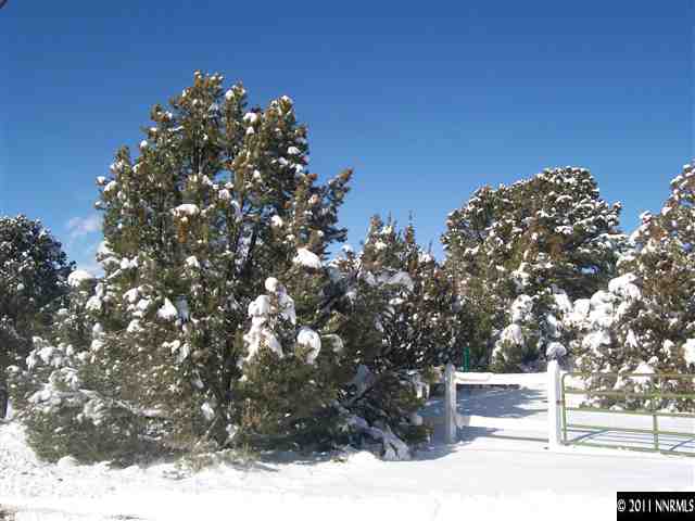 1725 Empire Road Reno, NV 89521 - Photo 9 of 9 a street view with large trees