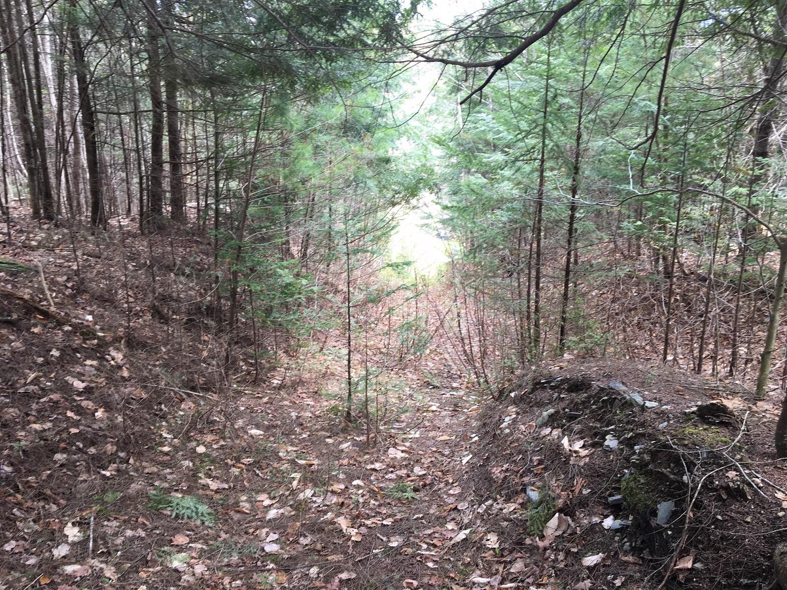 401 Map Road Dexter, ME 04930 - Photo 16 of 18 16