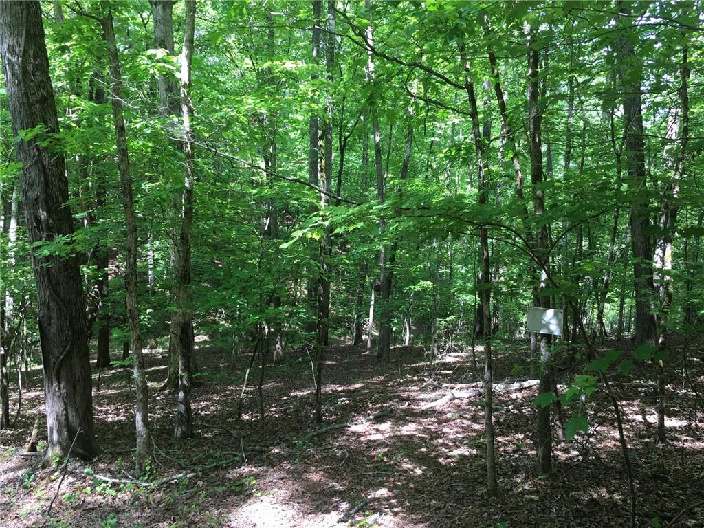 0 River Ridge Road North Dahlonega, GA 30533 - Photo 1 of 1 Gallery Image 1