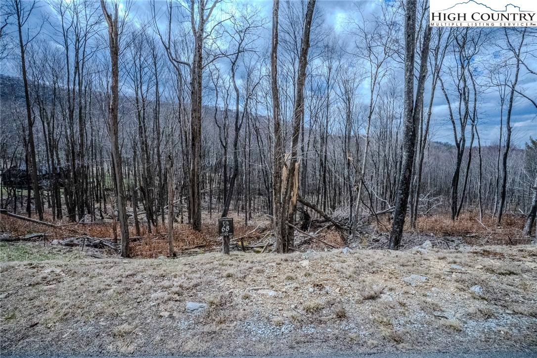 Es-68 Rippling Waters Trail Banner Elk, NC 28604 - Photo 11 of 25