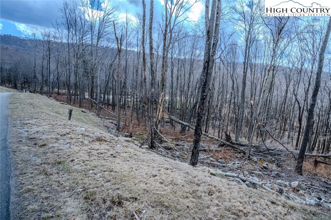 Es-68 Rippling Waters Trail Banner Elk, NC 28604 - Photo 12 of 25