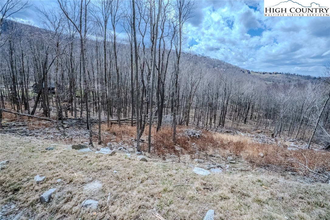 Es-68 Rippling Waters Trail Banner Elk, NC 28604 - Photo 13 of 25