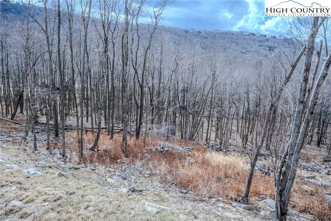 Es-68 Rippling Waters Trail Banner Elk, NC 28604 - Photo 14 of 25