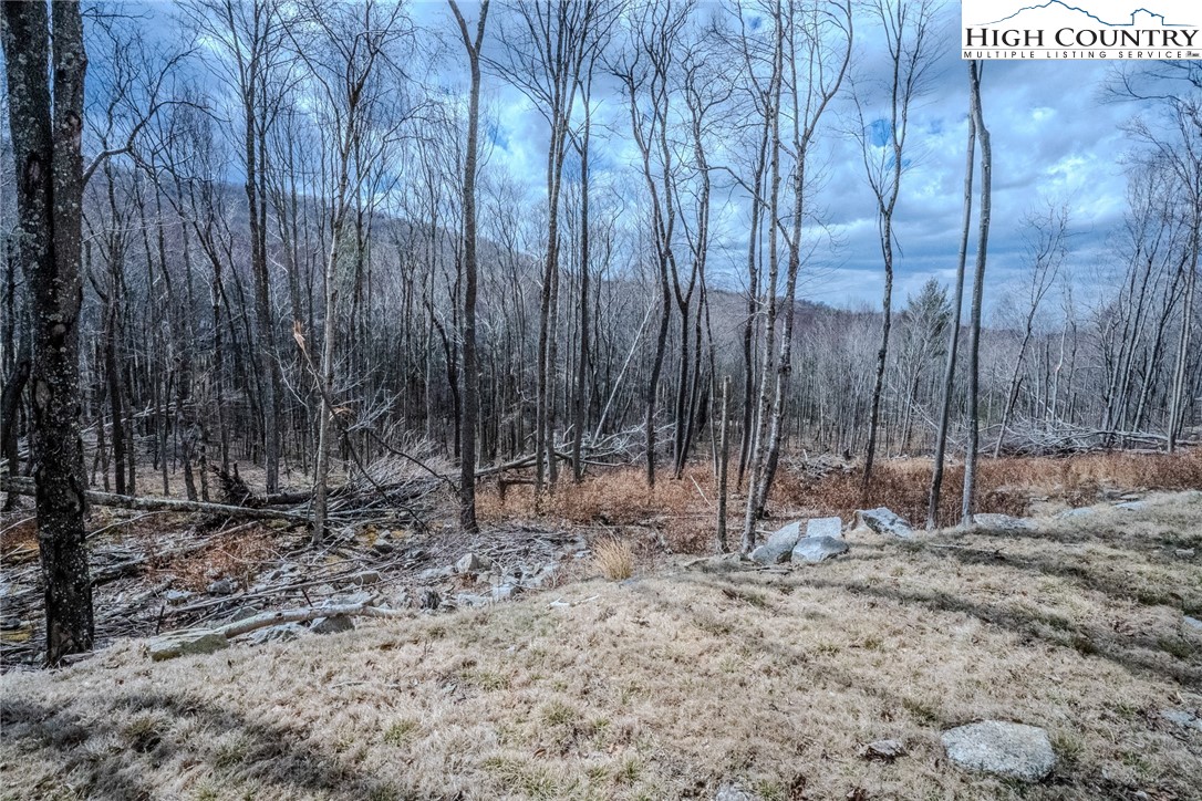 Es-68 Rippling Waters Trail Banner Elk, NC 28604 - Photo 2 of 25