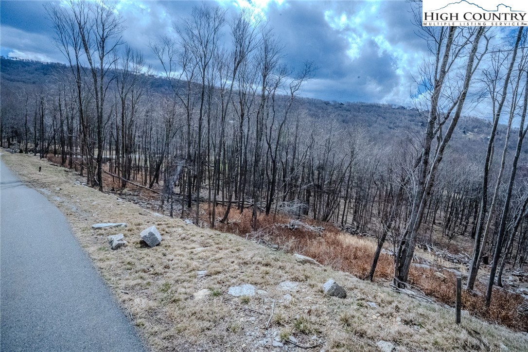 Es-68 Rippling Waters Trail Banner Elk, NC 28604 - Photo 3 of 25