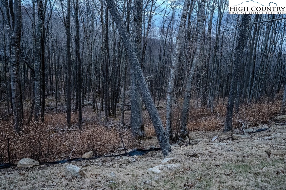 Es-68 Rippling Waters Trail Banner Elk, NC 28604 - Photo 4 of 25