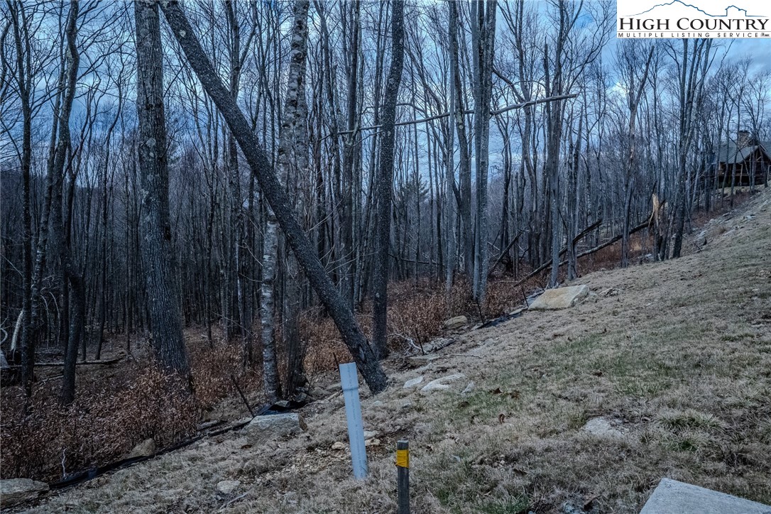 Es-68 Rippling Waters Trail Banner Elk, NC 28604 - Photo 6 of 25