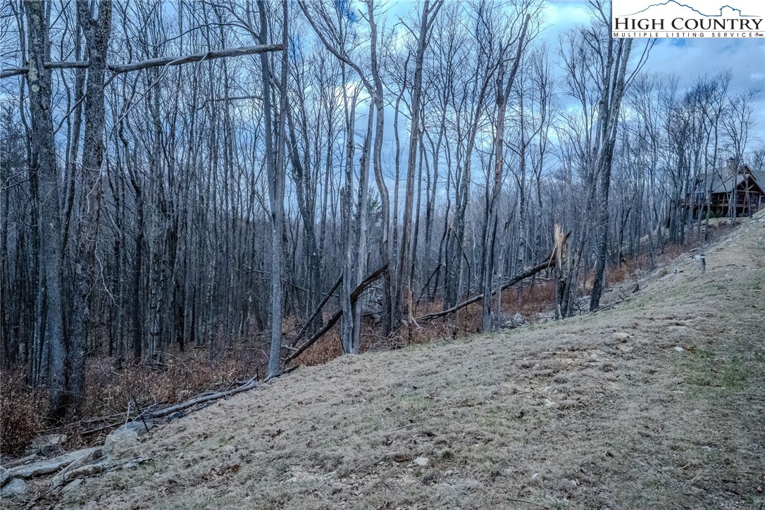 Es-68 Rippling Waters Trail Banner Elk, NC 28604 - Photo 7 of 25