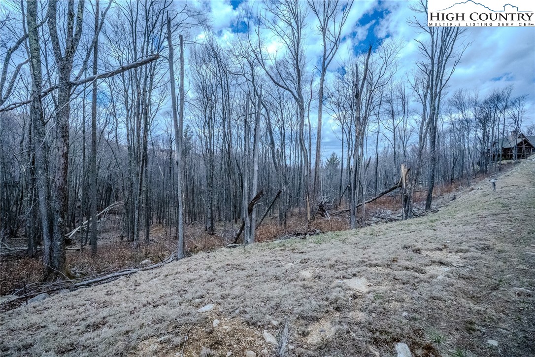 Es-68 Rippling Waters Trail Banner Elk, NC 28604 - Photo 8 of 25