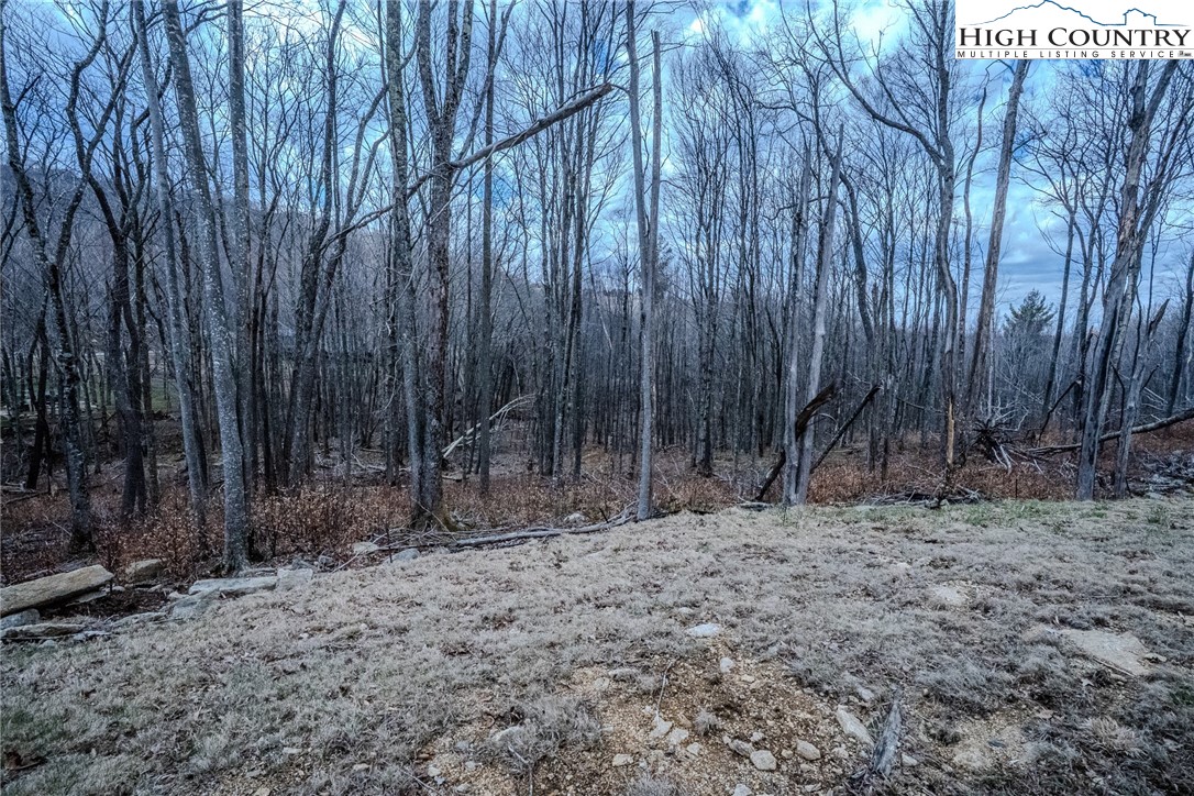 Es-68 Rippling Waters Trail Banner Elk, NC 28604 - Photo 9 of 25