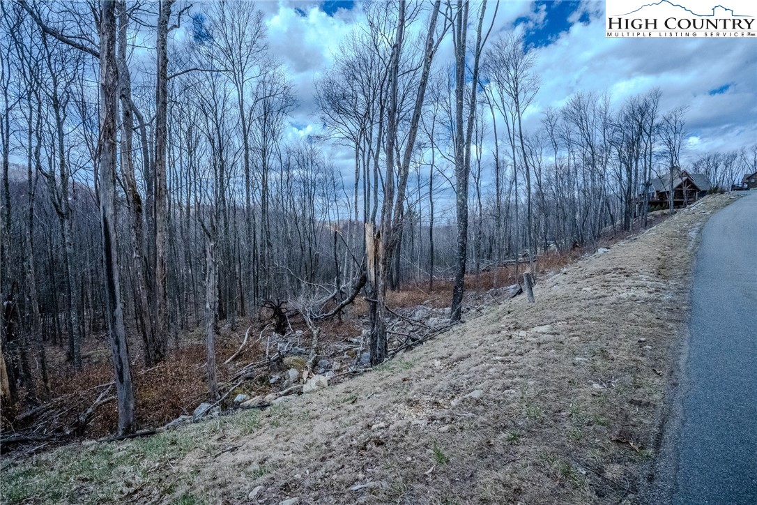 Es-68 Rippling Waters Trail Banner Elk, NC 28604 - Photo 10 of 25