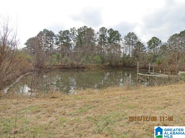 3881 Curry Station Road Munford, AL 36268 - Photo 3 of 14