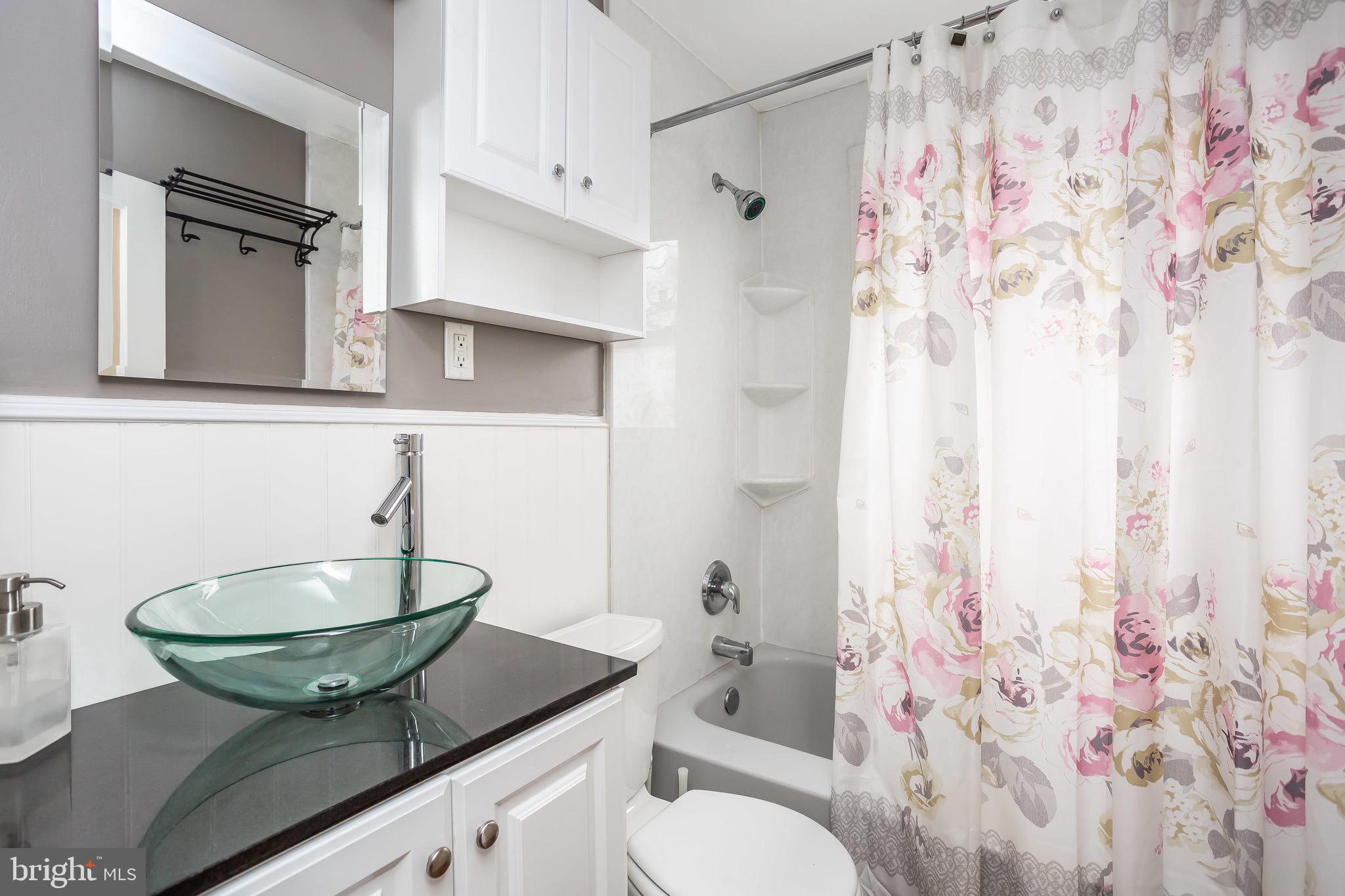 342 Grovethorn Road Baltimore, MD 21220 - Photo 7 of 18 Bathroom