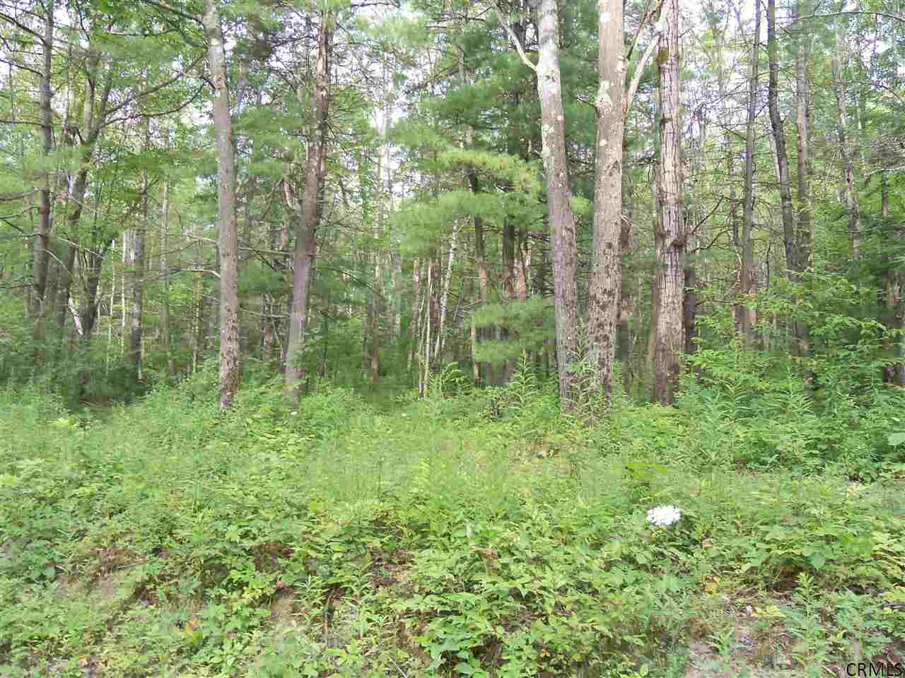 0 Lower Road Middleburgh, NY 12122 - Photo 1 of 6 Photo 1
