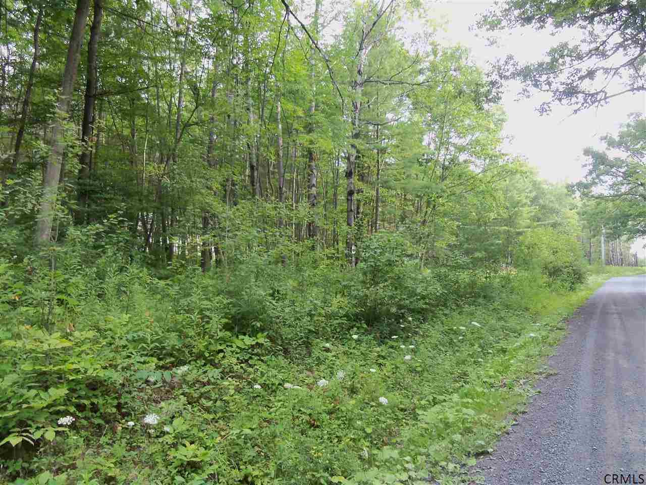 0 Lower Road Middleburgh, NY 12122 - Photo 2 of 6 Photo 2