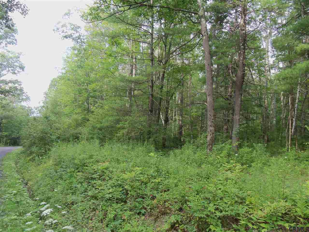 0 Lower Road Middleburgh, NY 12122 - Photo 3 of 6 Photo 3