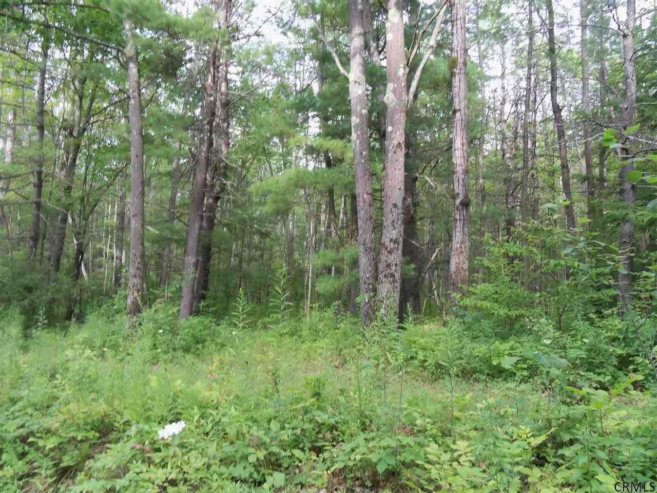 0 Lower Road Middleburgh, NY 12122 - Photo 4 of 6 Photo 4