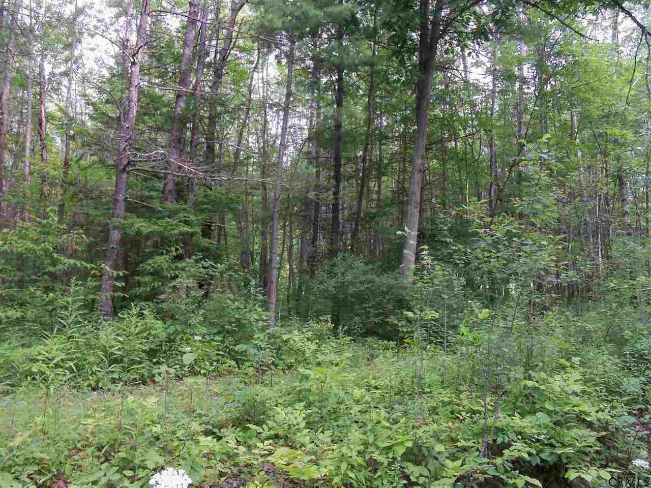 0 Lower Road Middleburgh, NY 12122 - Photo 5 of 6 Photo 5
