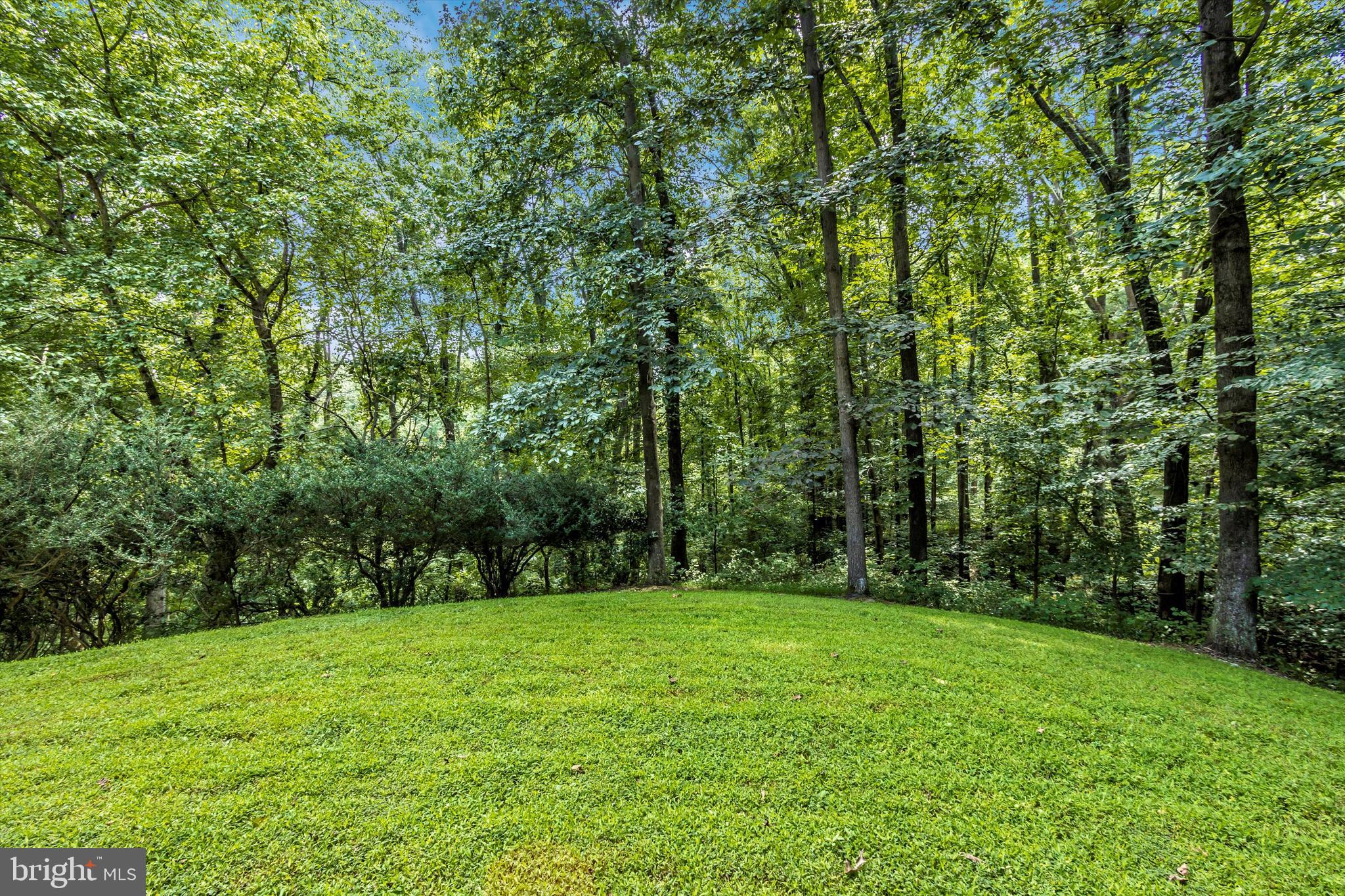 12707 River Road Potomac, MD 20854 - Photo 26 of 49