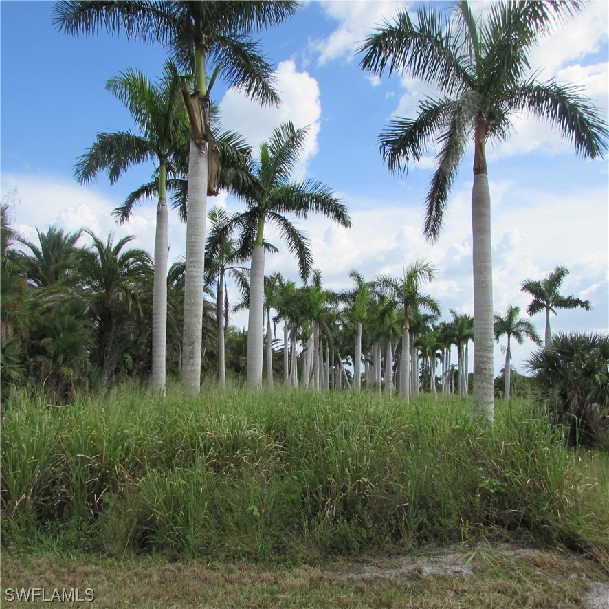 14900 Stringfellow Road Bokeelia, FL 33922 - Photo 20 of 38 Gallery Image 20