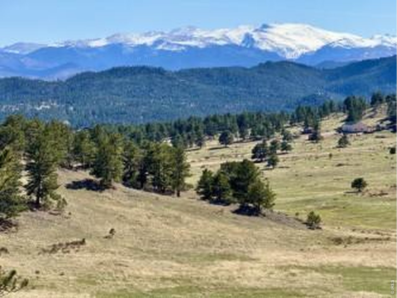 0 Red Feather Lakes Road Livermore, CO 80536 - Photo 21 of 40