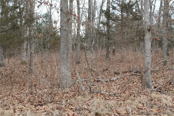 $6,750 | Winarsky Circle, Unit 4093, Edwards, MO 65326