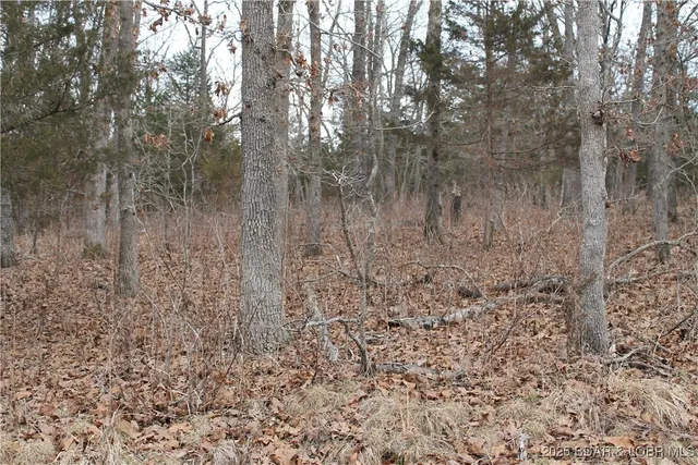 $6,750 | Winarsky Circle, Unit 4093, Edwards, MO 65326