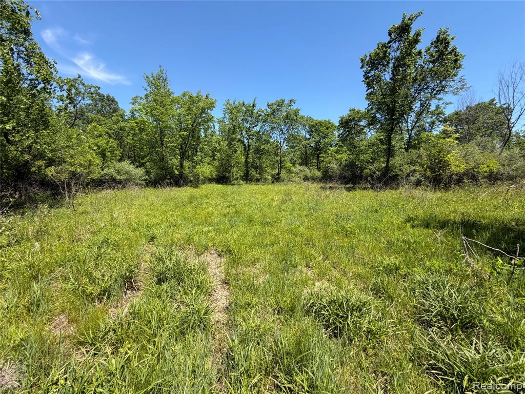 0 Dudley Road Brown City, MI 48416 - Photo 10 of 19