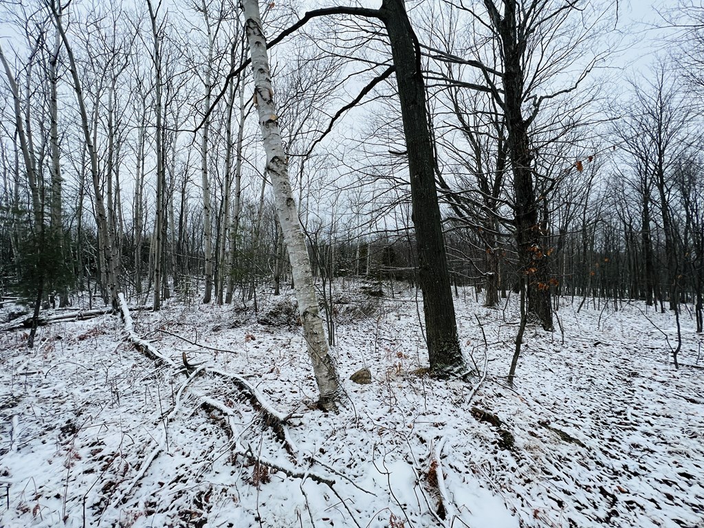 Tbd Juddville Hill Road Fish Creek, WI 54212 - Photo 3 of 31