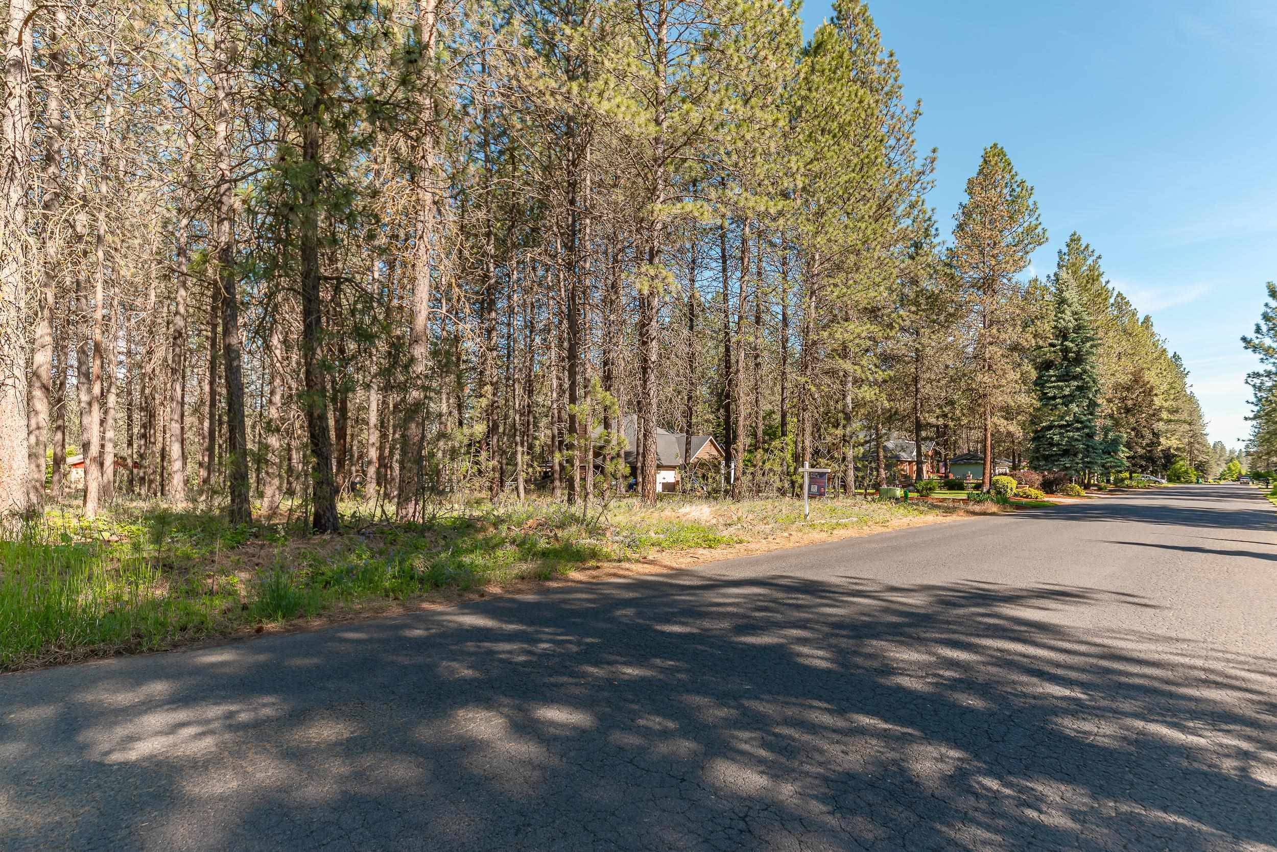 17-xxx North Saddle Hill Road Colbert, WA 99005 - Photo 6 of 11 Gallery Image 6