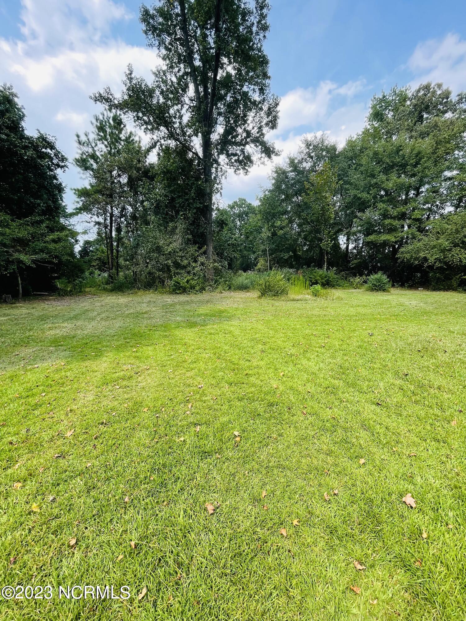 6741 Fire Dept Road Williamston, NC 27892 - Photo 9 of 57 Back Yard
