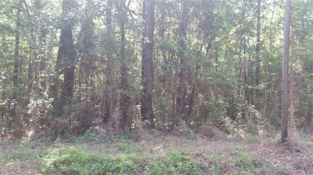 0 Gottschalk Road Covington, LA 70435 - Photo 3 of 5 Gallery Image 3