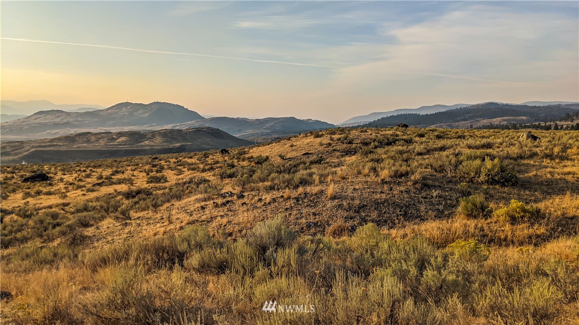 4 Spring Road Tonasket, WA 98855 - Photo 13 of 40 a view of lake and mountain