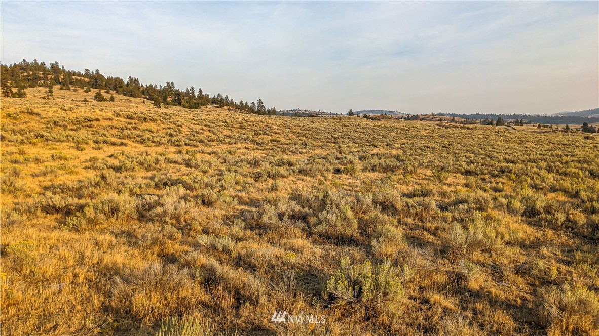4 Spring Road Tonasket, WA 98855 - Photo 14 of 40