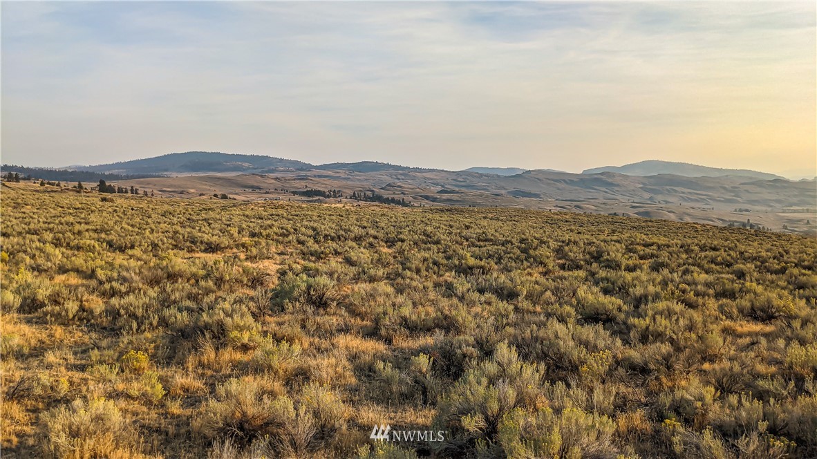4 Spring Road Tonasket, WA 98855 - Photo 15 of 40 a view of an ocean