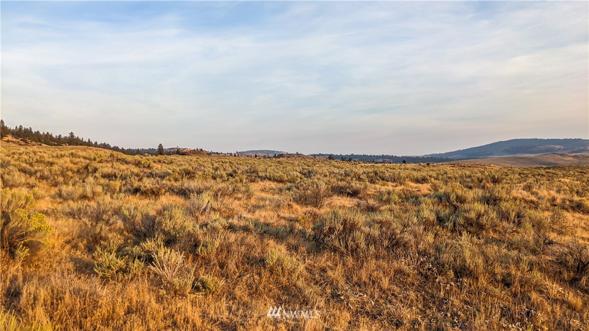 4 Spring Road Tonasket, WA 98855 - Photo 22 of 40