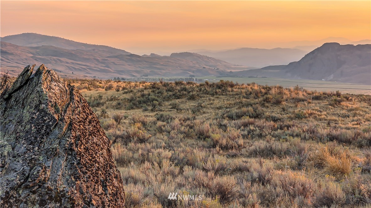 4 Spring Road Tonasket, WA 98855 - Photo 30 of 40 a view of a mountain range with a lush green hillside