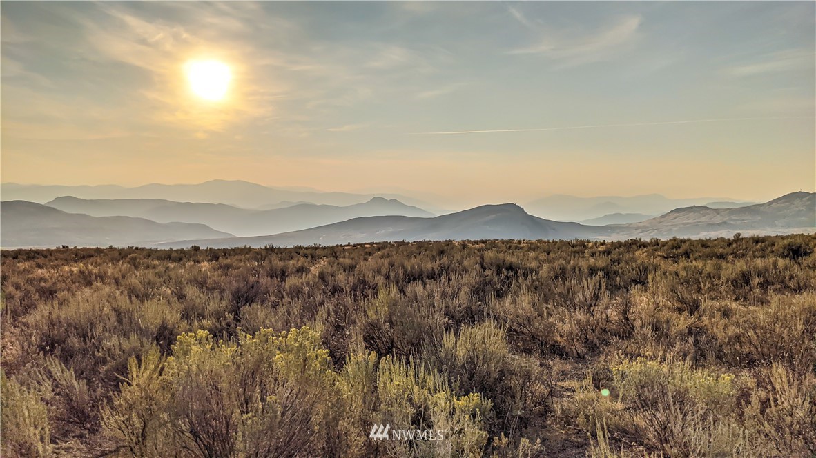 4 Spring Road Tonasket, WA 98855 - Photo 3 of 40 a view of a mountain and a mountain view