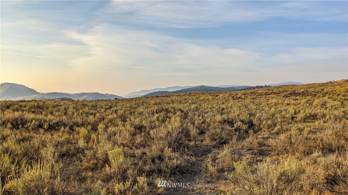 4 Spring Road Tonasket, WA 98855 - Photo 4 of 40