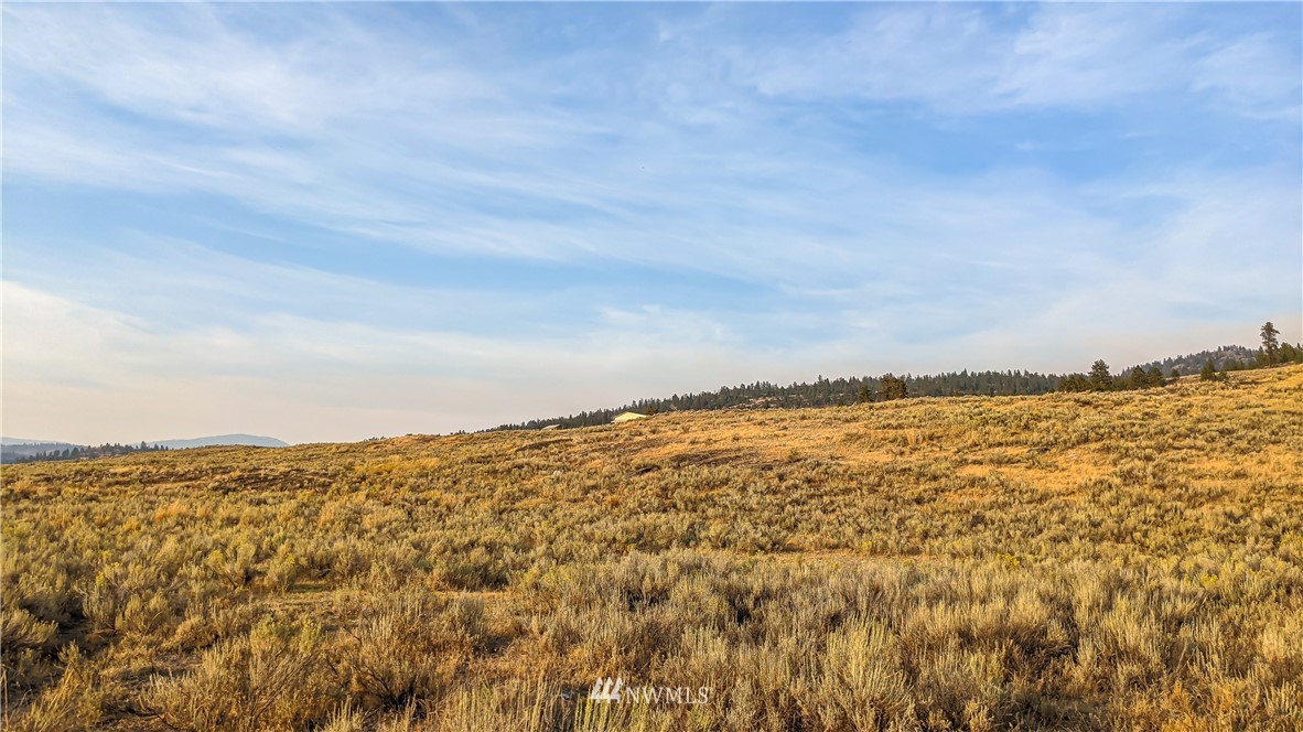 4 Spring Road Tonasket, WA 98855 - Photo 5 of 40 a view of an ocean