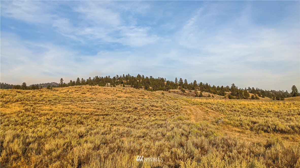 4 Spring Road Tonasket, WA 98855 - Photo 6 of 40