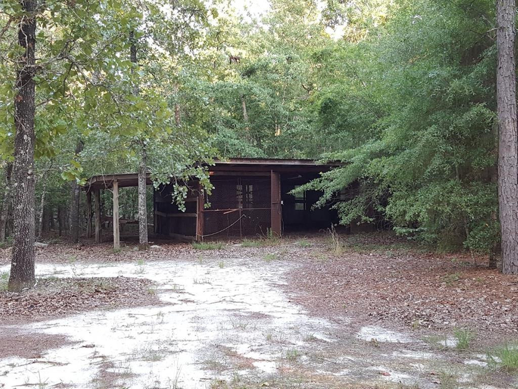 550 Pine Acres Road Windsor, SC 29856 - Photo 25 of 27