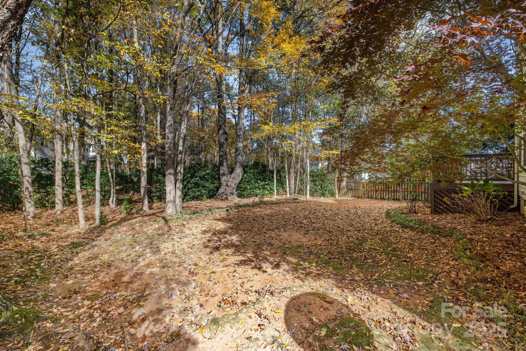 1930 Copperplate Road Charlotte, NC 28262 - Photo 34 of 43 a view of backyard with green space