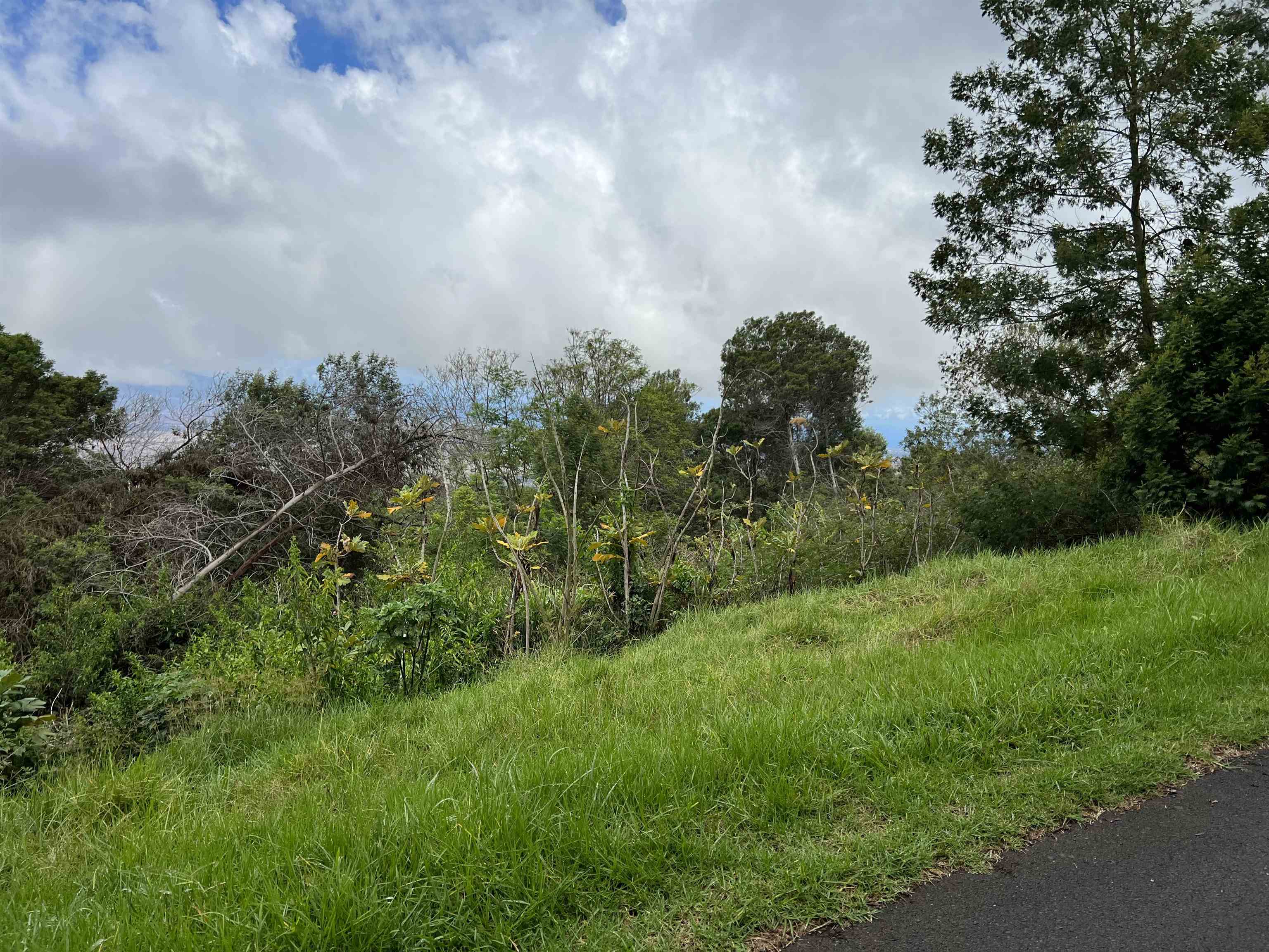0 Middle Road Kula, HI 96790 - Photo 1 of 4 a big yard with lots of green space