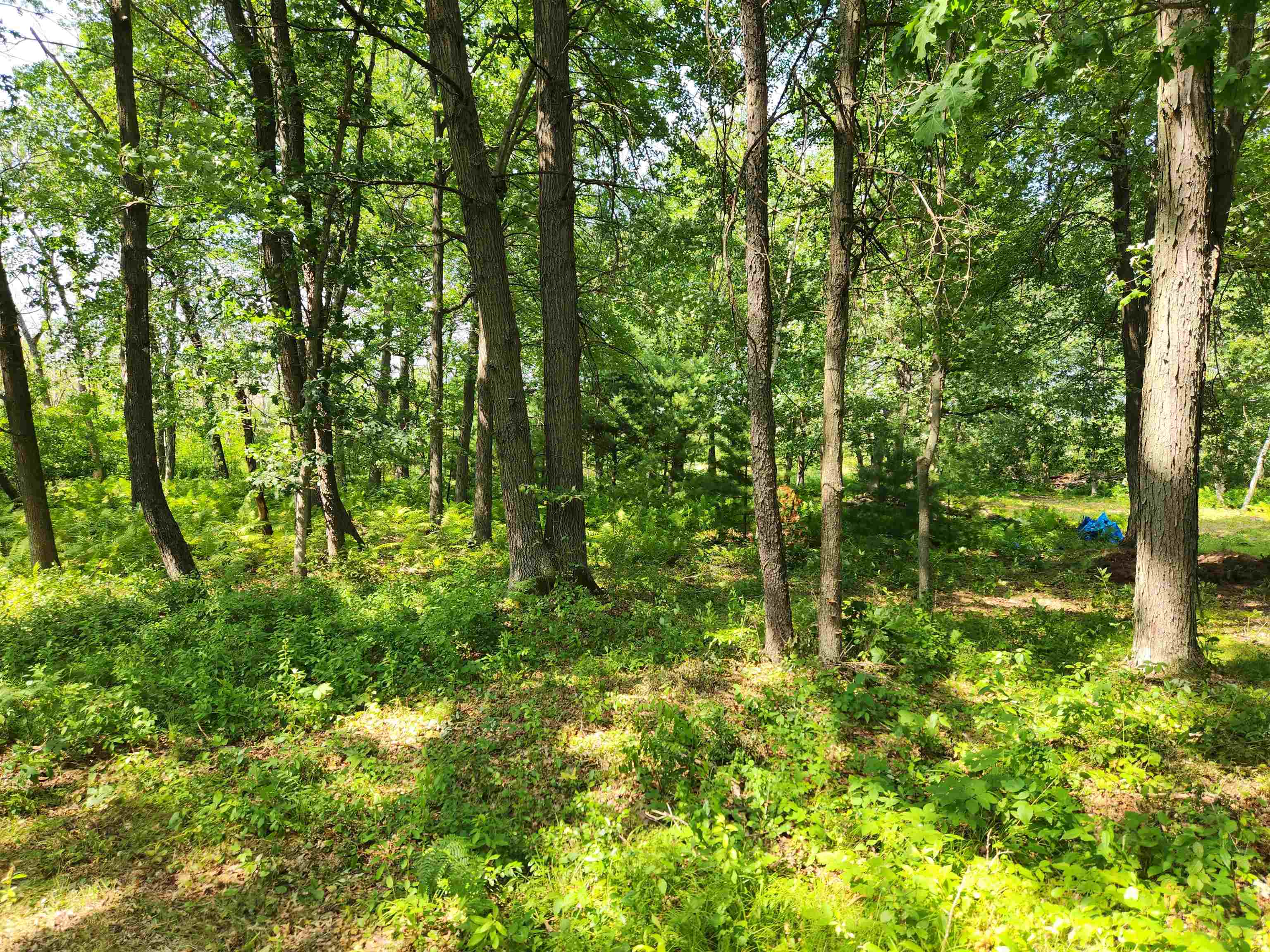 21 State Street Redgranite, WI 54970 - Photo 3 of 9 Gallery Image 3