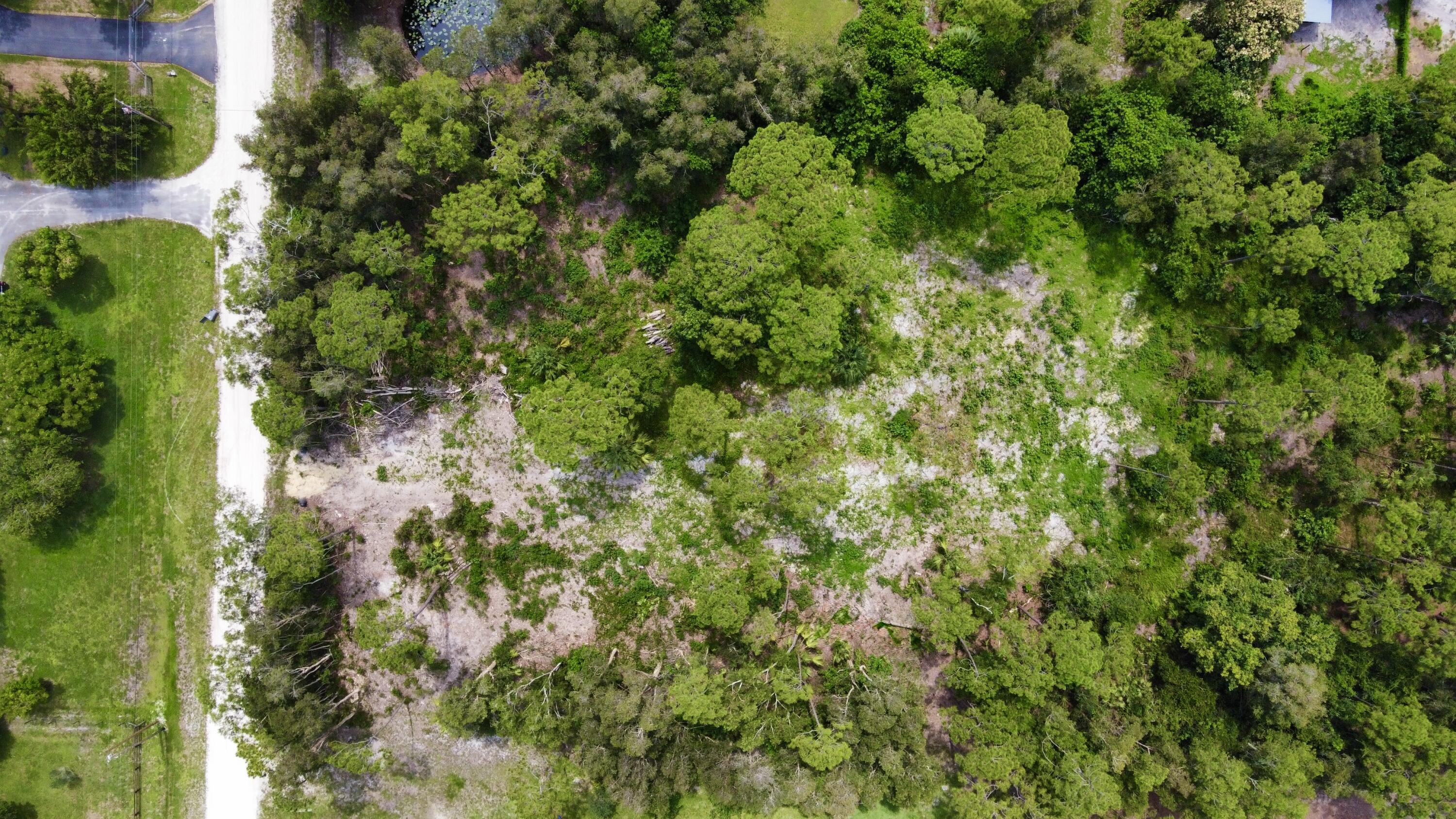 13133 159th Street North Jupiter, FL 33478 - Photo 4 of 5 a view of a tree